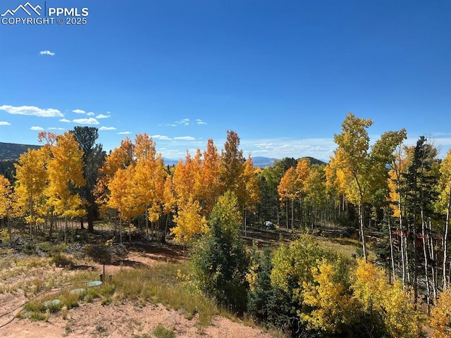 2747 County Road 61, Cripple Creek, CO 80813 - mountain view