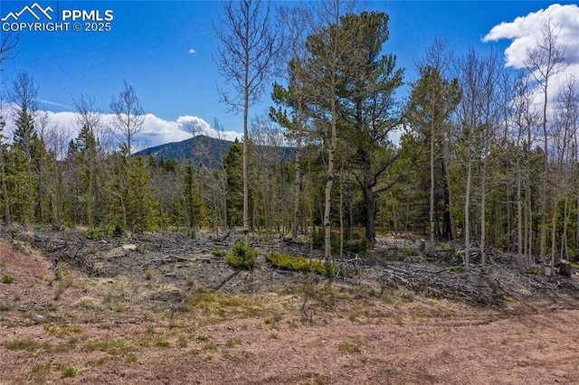 2747 County Road 61, Cripple Creek, CO 80813 - mountain view featuring a heavily wooded area