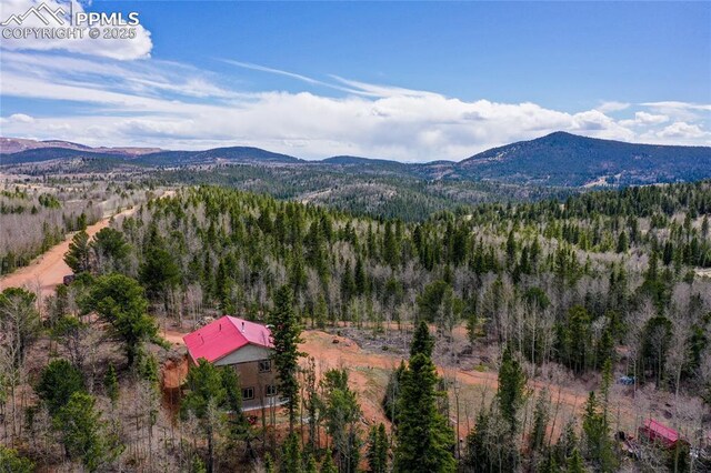 2747 County Road 61, Cripple Creek, CO 80813 - view of mountain backdrop with a heavily wooded area