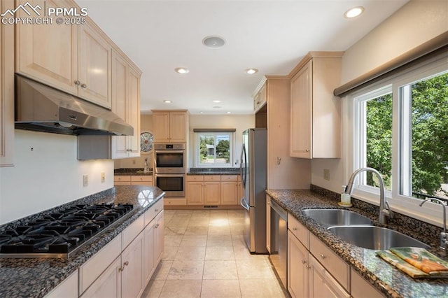 1303 Hermosa Way, Colorado Springs, CO 80906 - kitchen with stainless steel appliances, under cabinet range hood, a sink, plenty of natural light, and recessed lighting