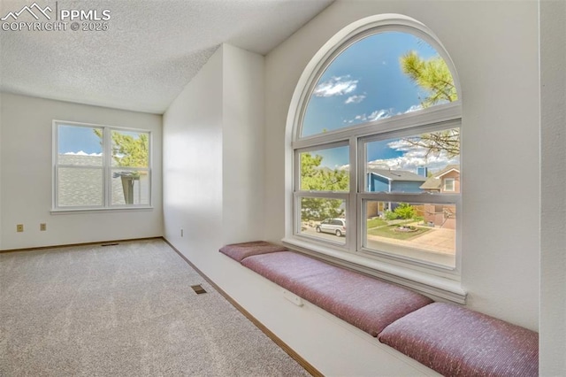 1559 Sausalito Dr, Colorado Springs, CO 80907 - empty room with carpet flooring, a textured ceiling, and baseboards