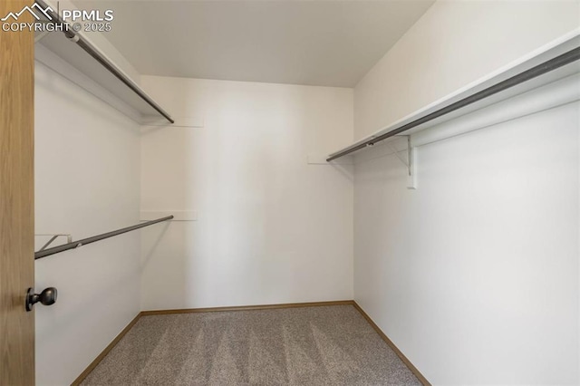 1559 Sausalito Dr, Colorado Springs, CO 80907 - spacious closet featuring carpet