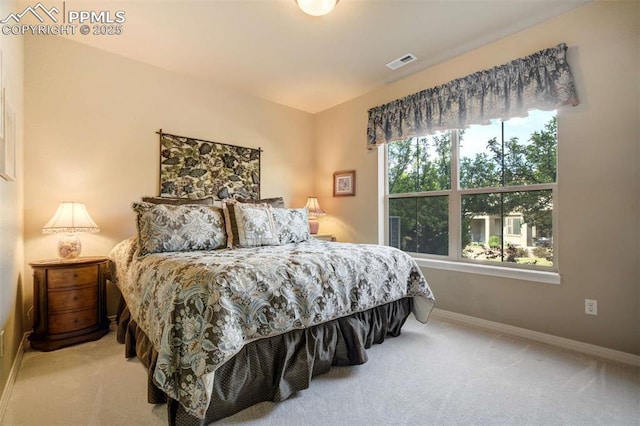 8396 Snow Cap Vw, Colorado Springs, CO 80920 - bedroom featuring carpet flooring and baseboards
