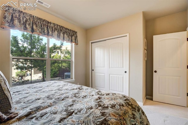 8396 Snow Cap Vw, Colorado Springs, CO 80920 - bedroom with carpet flooring and a closet
