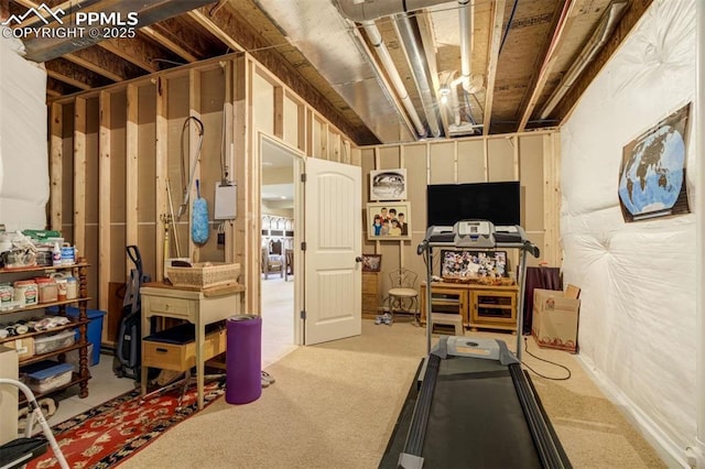 8396 Snow Cap Vw, Colorado Springs, CO 80920 - exercise room with carpet flooring