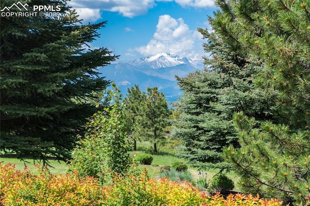 15635 Kingswood Dr, Colorado Springs, CO 80921 - view of mountain background