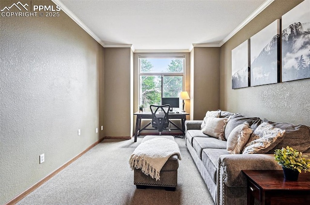 carpeted living area featuring a textured wall, baseboards, and crown molding