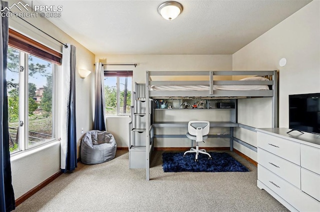 bedroom featuring carpet flooring, baseboards, and an office area