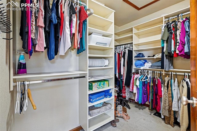 spacious closet with carpet flooring and attic access