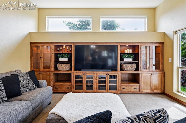 carpeted living room with a high ceiling