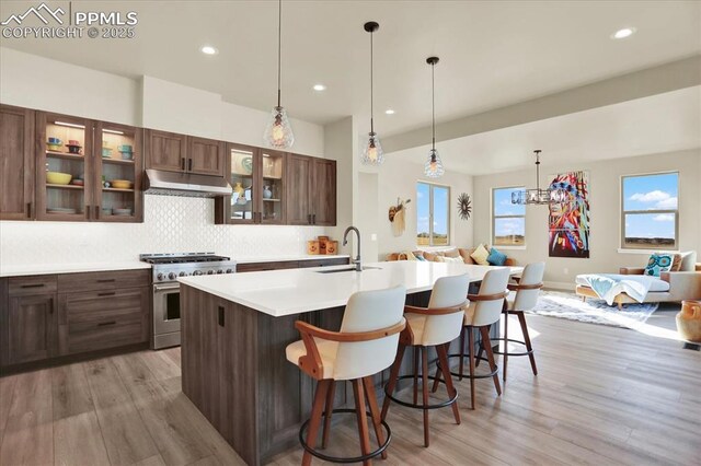 7871 Bannockburn Trl, Colorado Springs, CO 80908 - kitchen with high end stainless steel range oven, a sink, under cabinet range hood, light wood-type flooring, and backsplash