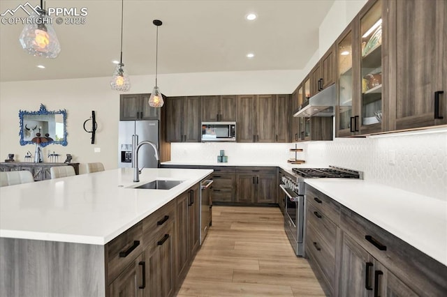 7871 Bannockburn Trl, Colorado Springs, CO 80908 - kitchen with high quality appliances, a sink, under cabinet range hood, decorative backsplash, and light wood finished floors