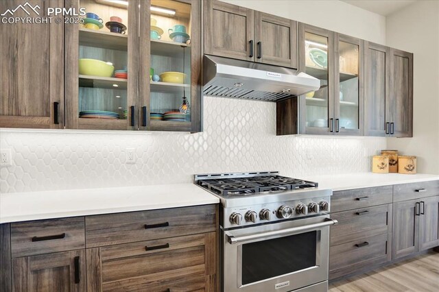 7871 Bannockburn Trl, Colorado Springs, CO 80908 - kitchen with stainless steel range, under cabinet range hood, decorative backsplash, and light countertops