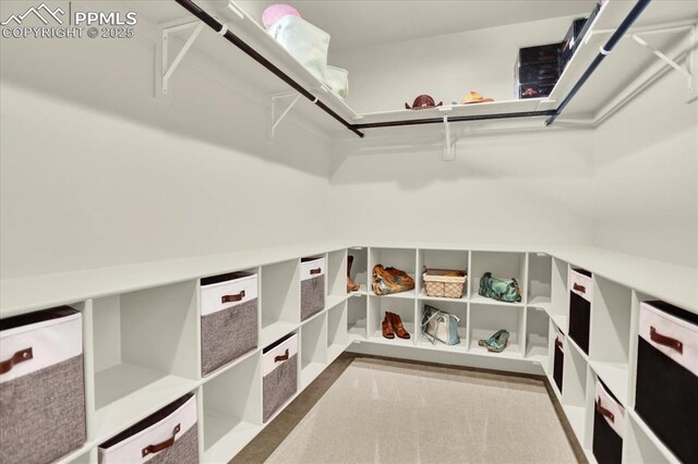 7871 Bannockburn Trl, Colorado Springs, CO 80908 - view of walk in closet