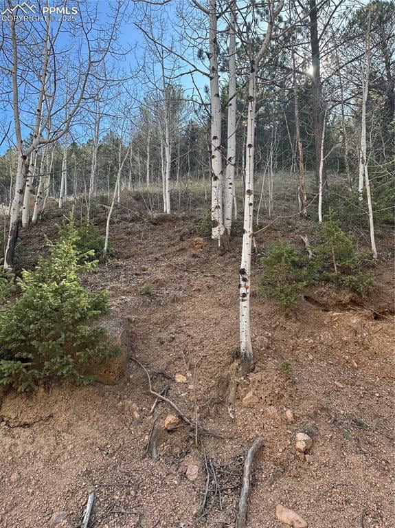 TBD County Road 61, Divide, CO 80814