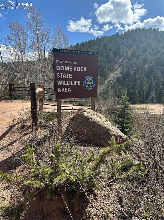 TBD County Road 61, Divide, CO 80814