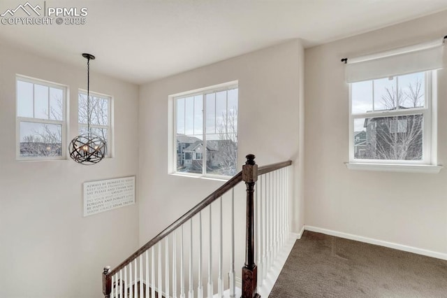 3793 Cadence Dr, Castle Rock, CO 80109 - staircase featuring healthy amount of natural light, a chandelier, and carpet flooring