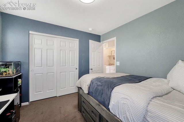 3793 Cadence Dr, Castle Rock, CO 80109 - bedroom with carpet floors, a closet, and independent washer and dryer