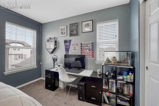 3793 Cadence Dr, Castle Rock, CO 80109 - office featuring light carpet and baseboards