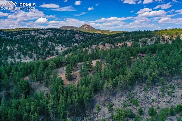 1066 Pikes Peak Dr, Florissant, CO 80816