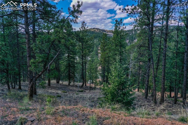 1066 Pikes Peak Dr, Florissant, CO 80816