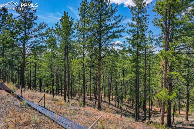 1066 Pikes Peak Dr, Florissant, CO 80816
