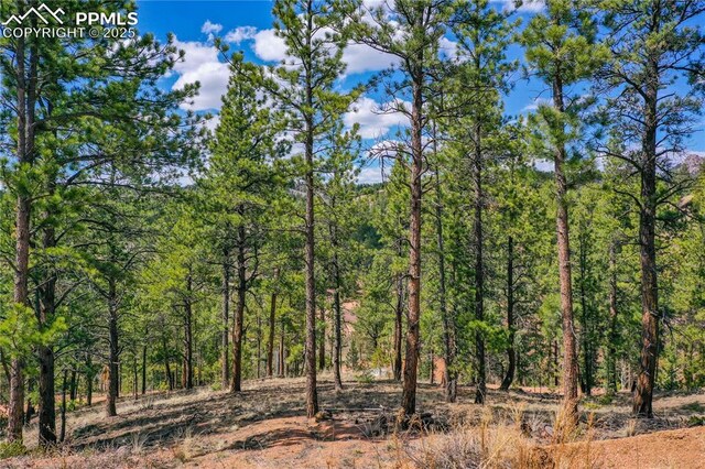 1066 Pikes Peak Dr, Florissant, CO 80816