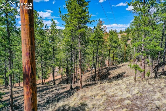 1066 Pikes Peak Dr, Florissant, CO 80816