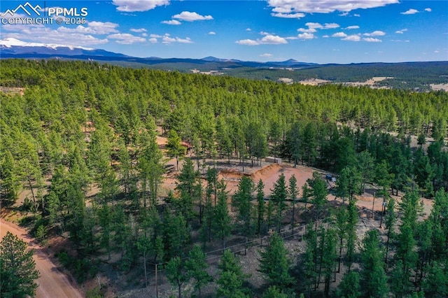 1066 Pikes Peak Dr, Florissant, CO 80816