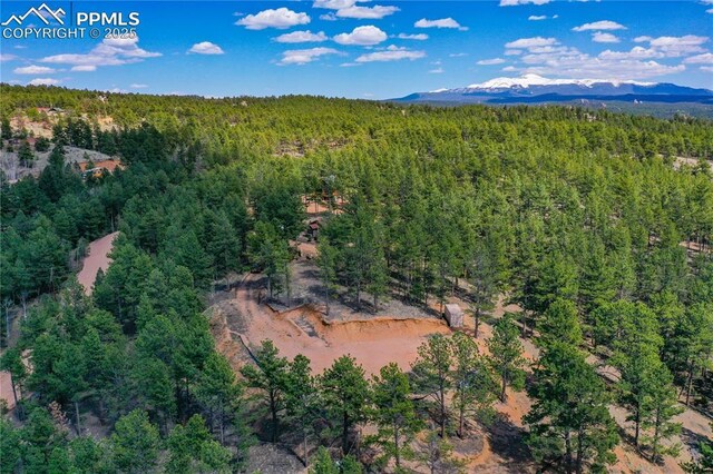 1066 Pikes Peak Dr, Florissant, CO 80816