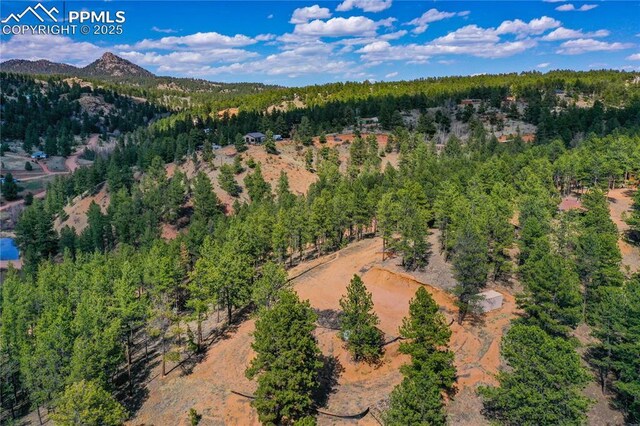 1066 Pikes Peak Dr, Florissant, CO 80816