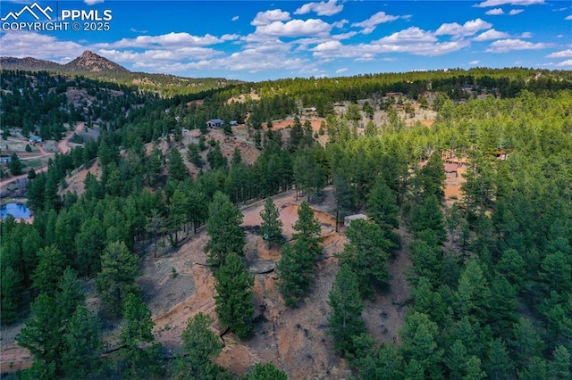 1066 Pikes Peak Dr, Florissant, CO 80816