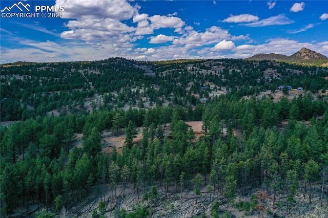 1066 Pikes Peak Dr, Florissant, CO 80816