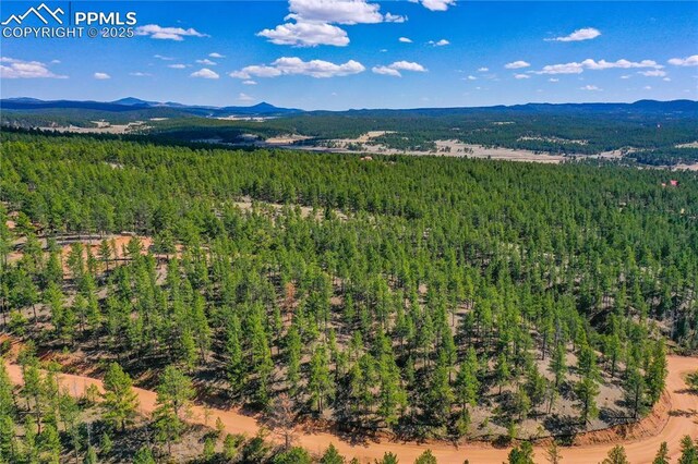 1066 Pikes Peak Dr, Florissant, CO 80816
