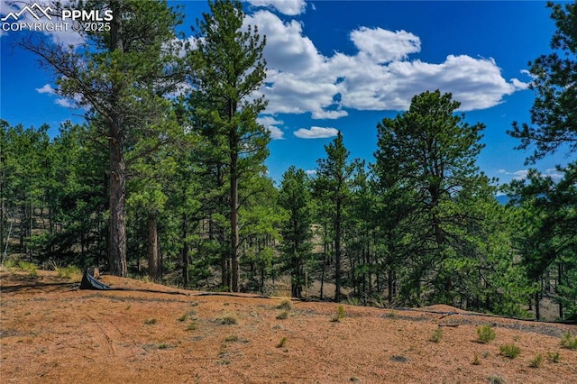 1066 Pikes Peak Dr, Florissant, CO 80816