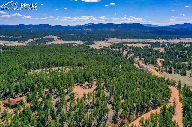 1066 Pikes Peak Dr, Florissant, CO 80816