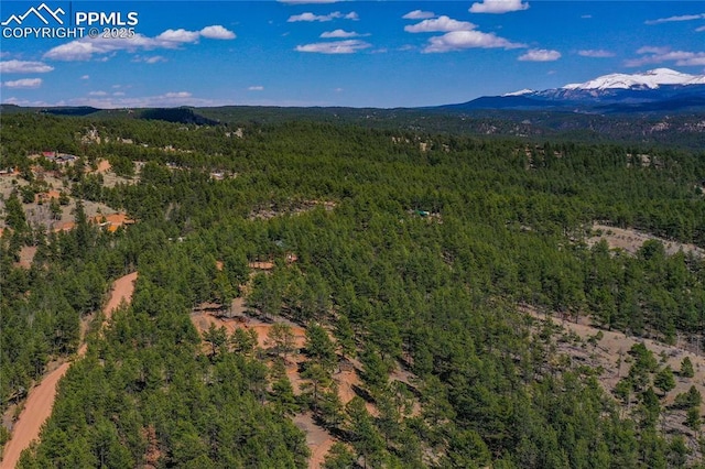 1066 Pikes Peak Dr, Florissant, CO 80816