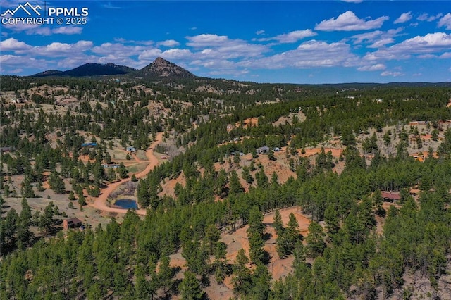 1066 Pikes Peak Dr, Florissant, CO 80816