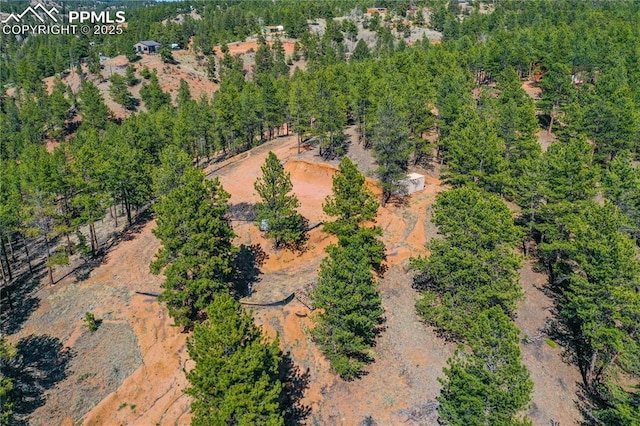 1066 Pikes Peak Dr, Florissant, CO 80816
