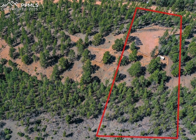 1066 Pikes Peak Dr, Florissant, CO 80816