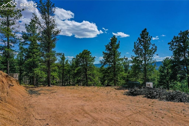 1066 Pikes Peak Dr, Florissant, CO 80816