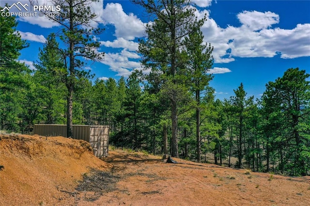 1066 Pikes Peak Dr, Florissant, CO 80816