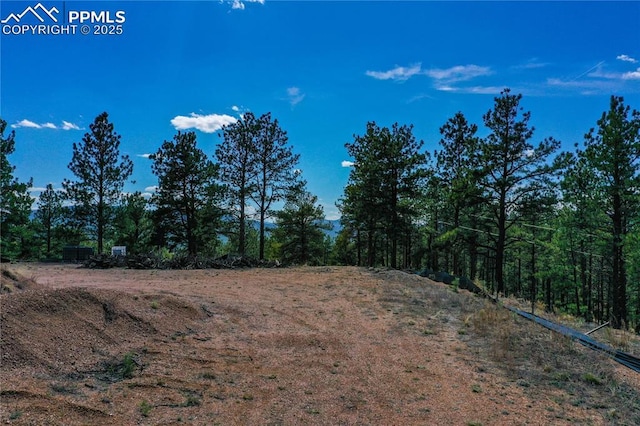1066 Pikes Peak Dr, Florissant, CO 80816
