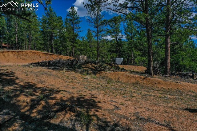 1066 Pikes Peak Dr, Florissant, CO 80816
