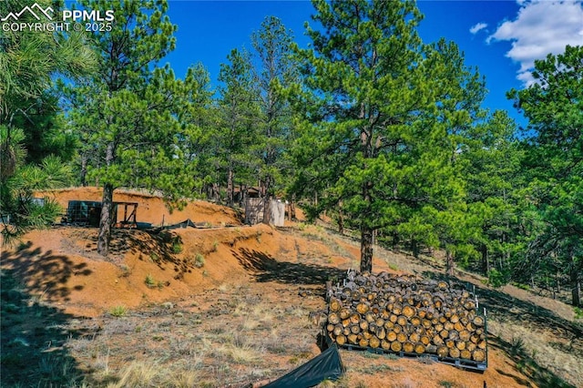 1066 Pikes Peak Dr, Florissant, CO 80816