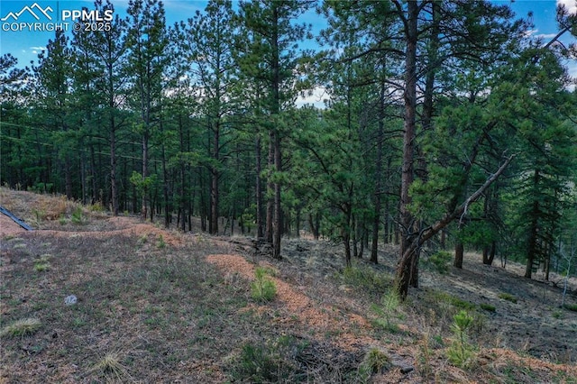 1066 Pikes Peak Dr, Florissant, CO 80816