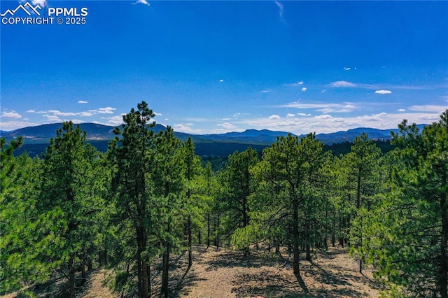 994 Pikes Peak Dr, Florissant, CO 80816