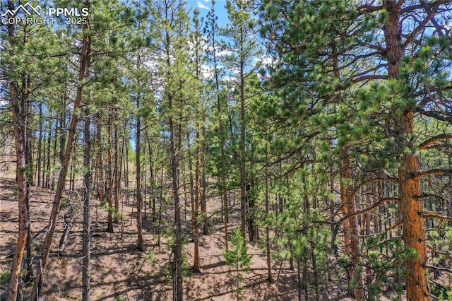 994 Pikes Peak Dr, Florissant, CO 80816