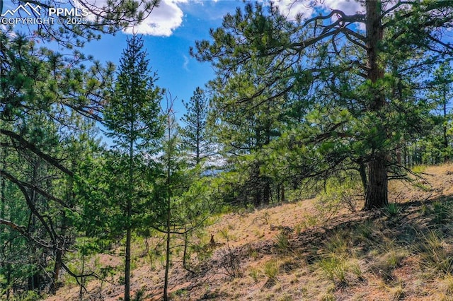 994 Pikes Peak Dr, Florissant, CO 80816