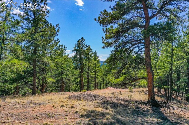 994 Pikes Peak Dr, Florissant, CO 80816
